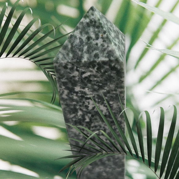 Tree Agate Point - Picture 2 of 2